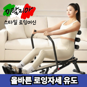 리얼로잉 회전노젓기 로잉머신 가정용 전신 근력 접이식 홈트 실내 유산소 운동기구, 1. 프로페셔널 블랙