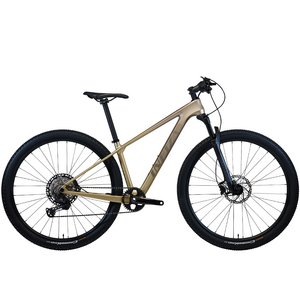 알톤스포츠 인피자 XZ9H 29인치 MTB 카본 자전거 시마노 XT 12단 유압식, 15인치(신장155~175), 매트샌드베이지, 1개