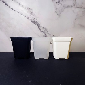 풀나옴 투명 슬릿화분 슬릿분 사각 플라스틱화분 플분 소형 중형 분갈이 낮은화분 다육이화분, 1개, 블랙