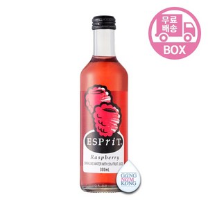 에스프리 라즈베리 탄산음료, 300ml, 24개