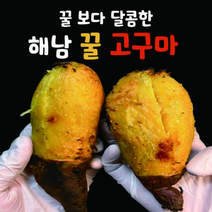 [산지직송] 꿀보다 달콤한 해남 꿀고구마 베니하루카 세척 고구마 비세척 고구마, 1박스, [세척]1kg, 중상(50~100g)