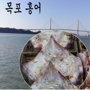 홍어 1마리 통채로 3-4 kg 전후 목포홍어회.홍어찜용, 1개
