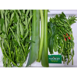 Canh chua 500g 세트/아시아 농장 송소희, 1개