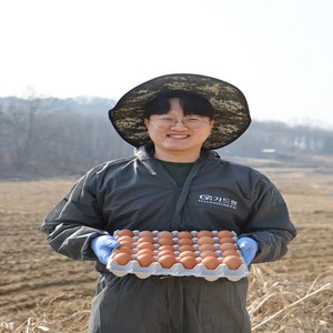 난각번호 1번 계란 무항생제 자연방사 유정란 달걀 20구 30구 40구 60구 계란, 난각번호 1번 30구, 1개