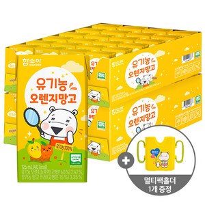 함소아 유기농 주스 오렌지 망고, 48개, 125ml