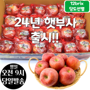 [오전8시 주문건 당일발송] 12브릭스 당도선별 세척사과, 5kg (20~25입), 1개