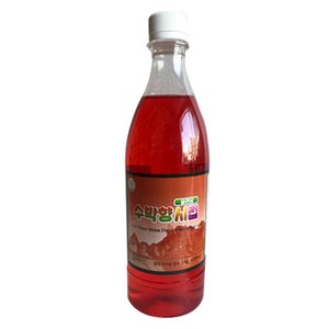 DH 슬러시 수박향 시럽 1병 1kg, 1개