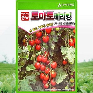 아시아종묘 토마토베리킹 씨앗 50립 조생종 미니 토마토씨 종자, 1개