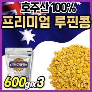 호주 루비니핀 루피니빈콩 루비니빈 루피리빈 루비니콩, 3개, 600g