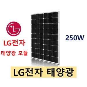 엘지 태양광 모듈 250W, 1개