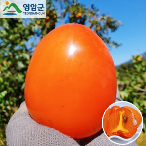 [꿀범벅] 대봉감 홍시 22브릭스 고당도 임금님진상품, 1개, 4.5kg (31-35과)