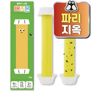 버즈몬 초파리 파리 벌레 끈끈이 퇴치 트랩, 2개, 1매입