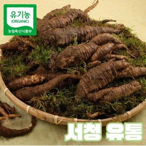 [서청유통] 유기농 강원도 정선 산더덕, 1개, 1kg(중)