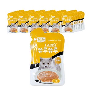 테비 쮸루쮸루 고양이 간식 파우치 30g, 치킨, 48개
