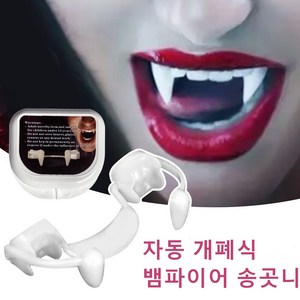 추천10토롱이과잠