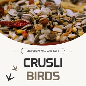 크루슬리 앵무새 알곡 먹이 사료 500g, 1개