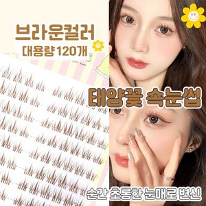 태양꽃 블랙 지지대 초보자용 3종혼합 악마 만화 인조 속눈썹, 1개, 갈색