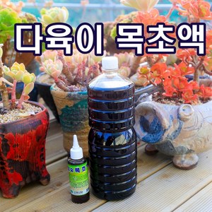 다육이야기 목초액1.8L 식물보호제, 1개