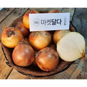 국내산 양파 양파 무안 함평 해남 등 산지출하중, 양파 2.5kg(진짜장아찌용), 1개