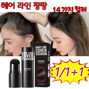 1/1+1 헤어 팡팡 헤어라인 커버 쿠션 스틱 14가지 색상, 2개, 3# 블랙
