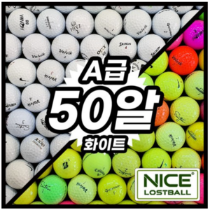 타이틀리스트 토탈브랜드 혼합 로스트볼 A급, 50개, 화이트 A급