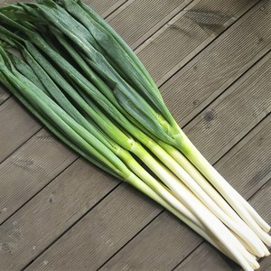 편리한 깐대파 수입 대파 업소용 Sping Onion, 1개, 10kg