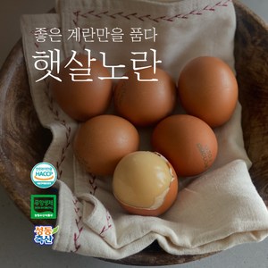 [햇살노란] 구운계란 훈제란 생계란 혼합 패키지 무항생제인증 친환경 HACCP 식품안전관리인증 계란 15구 30구 60구, 1박스