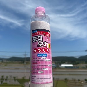 도원피싱 염장소금 500g 모치모치 솔트 미끼 첨가제, 1개