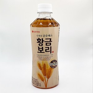 칠성 갈증해소 황금보리 차음료, 500ml, 12개