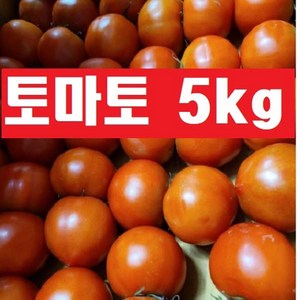 정품/ 주스용 뿌시러기 아님)금일-출고/국내산 생토마토 오k(, 1박스, 5kg