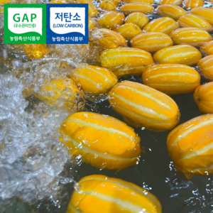 [100% 환불보장] 성주 참외 GAP 인증 당도선별 고당도 프리미엄 참외, 1박스, 1kg(못난이 흠집(랜덤과))