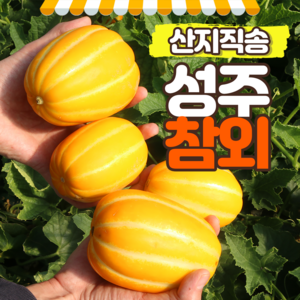 푸릇푸릇 성주참외 꿀참외 3kg 5kg 10kg, 1개