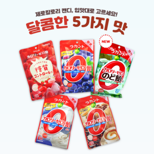 무설탕 라칸토 캔디 블루베리맛 40g 나한과 제로칼로리 충치예방 슈가프리 0 KAL, 1개