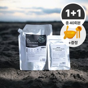 [1+1] 물이 필요없는 디디에즈 겔 모델링팩 1제 1000g + 2제 100g + 팩도구 세트 머드, 2개