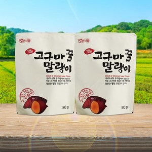 [KT알파쇼핑]땅끝식품 고구마말랭이 100gX10봉, 10개, 100g