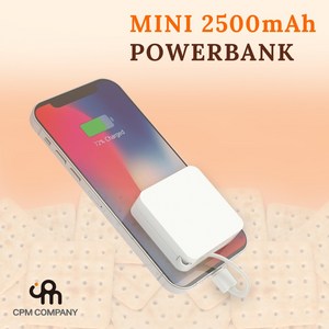 CPM 초미니 일체형 C타입 케이블 보조배터리 2500mAH, 단품, 단품