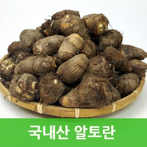 국내산 토란10kg 알토란 웰빙푸드 싱싱지오, 국내산 알토란(보통)10kg, 1개