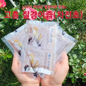 100% 국내산 고흥 질경이즙 (차전초 차전자), 30개, 100ml