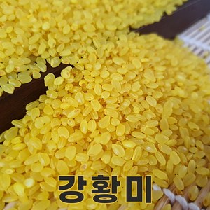 밥보야 24년산 강황쌀 2kg 강황미 색깔쌀 컬러쌀, 1개