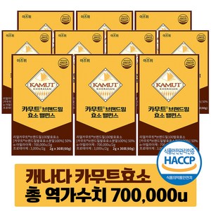 카무트 효소 식약청 HACCP 인증 캐나다 정품 30포, 10개, 60g