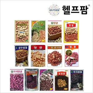 헬프팜 땅콩종자 모음 땅콩 자색땅콩 흑땅콩 흑색땅콩 블랙스타, 동원-흑땅콩 20g, 1개