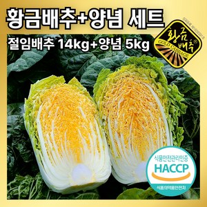 [공식판매처] HACCP인증 황금 절임배추 양념세트, ++김장일 2일전으로 배송메세지에 적어주세요++, 1박스, 19kg