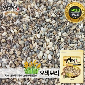 맛봉달 오색보리쌀 흑보리 자색보리 청보리 늘찰보리 쌀찰보리 국내산, 1개, 5kg