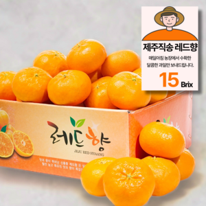 15brix 당도선별 제주 레드향 가정용, 1박스, 3kg(15과내외)