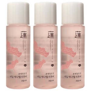 과일나라 본체청정 연 네일 에나멜 리무버, 3개, 100ml