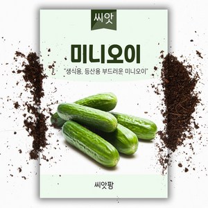 미니오이씨앗 (10립) 생식용 등산용 간식용 미니오이, 1개