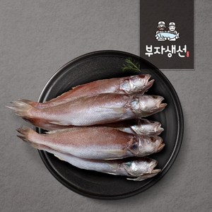 반건조 민어 조기 세트 반찬용 (부자생선), 민어조기34cm 5마리, 1세트