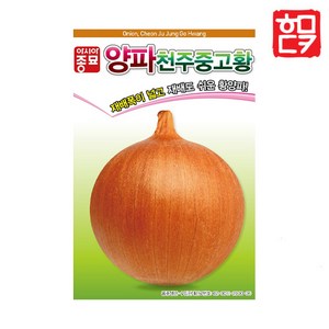 호미닷컴 근채류씨앗 모음 채소씨앗 종자 근채류씨앗 근채류씨 근채씨 채소씨 채소재배 텃밭 주말농장, 천주중고황 2.5g, 1개