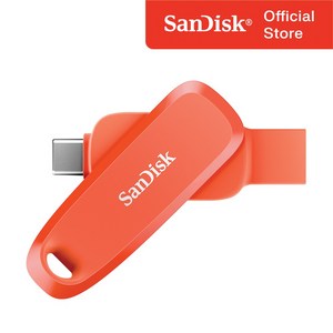 샌디스크 USB 메모리 Phone Dive C타입 OTG 3.2 Gen1 메모리 SDDDC6 오렌지 컬러, 1개, 256GB