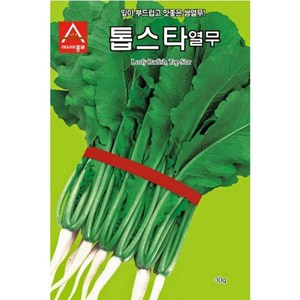 열무씨앗종자) 톱스타열무(500g) S1085, 500g